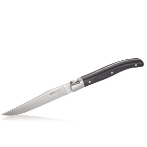 Gefu Steakmesser-Set BASCO, 4 Stück in edler Kiefernhol BASCO (4006664139403)